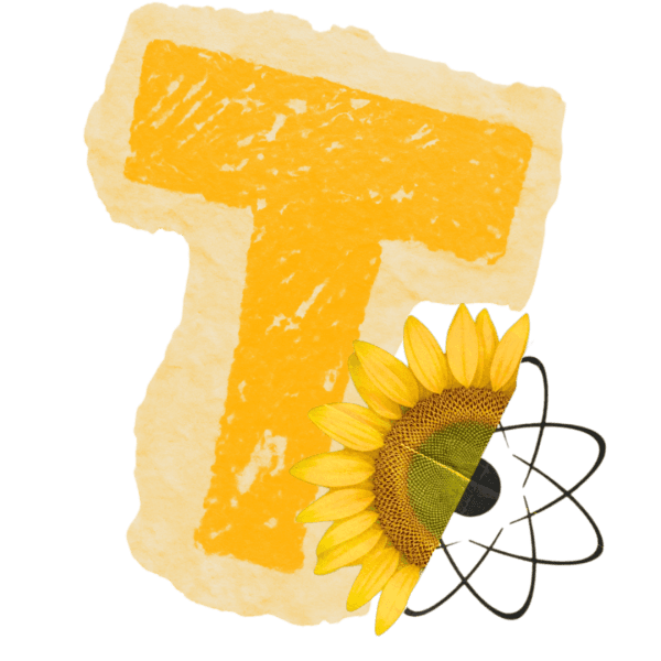 Pack | Textos prontos (CapCut PC)